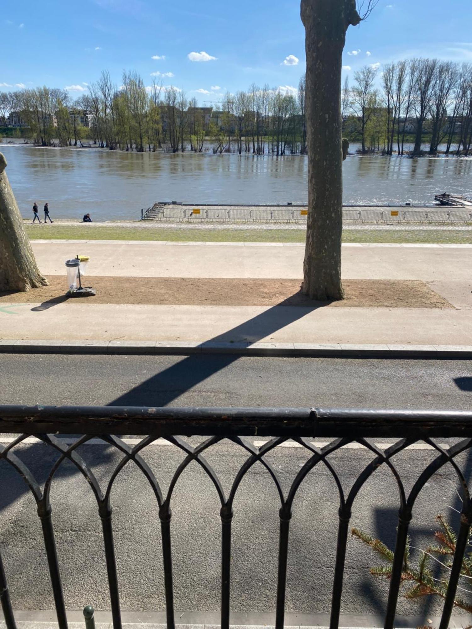 Appartamento Balcon Vue Loire Parking A 50M Orléans Esterno foto